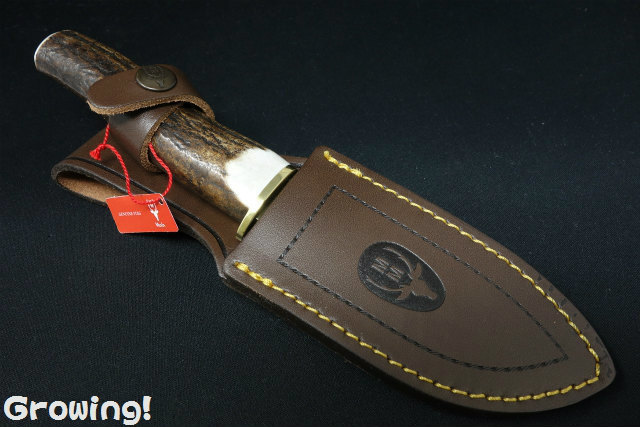 ナイフショップ グローイング！□Muela【ムエラ】□ バイパー ハンター