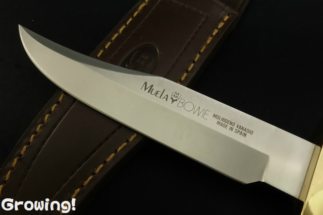 ナイフショップ グローイング！□Muela【ムエラ】□ ボウイ 「BW-16