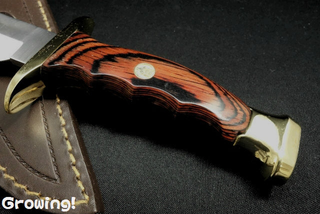 ナイフショップ グローイング！□Muela【ムエラ】□ ボウイ 「BW-16