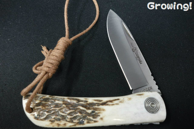 ナイフショップ グローイング！□MIGUEL NIETO【ミゲル ニエト