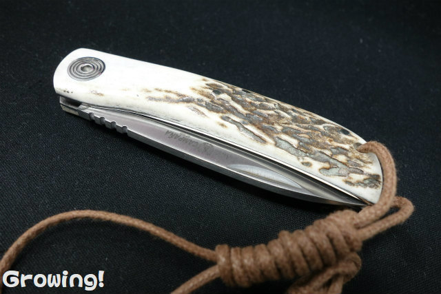 ナイフショップ グローイング！□MIGUEL NIETO【ミゲル ニエト