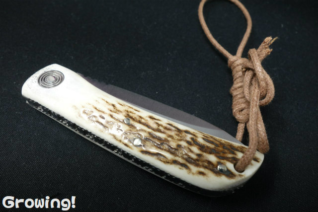 ナイフショップ グローイング！□MIGUEL NIETO【ミゲル ニエト