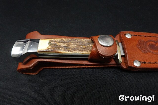 ナイフショップ グローイング！□Queen Cutlery【クイーンカトラリー