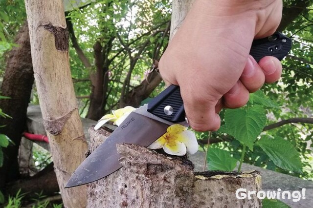 ナイフショップ グローイング！□RUIKE【ルイケ】□ 「D198-PB