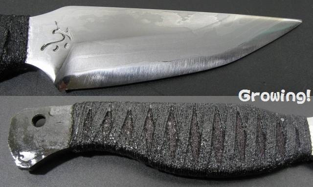 ナイフショップ グローイング！□red orca【レッドオルカ】□ 聖小刀 7