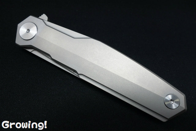 ナイフショップ グローイング！□REAL STEEL【リアルスチール】□ 「S3