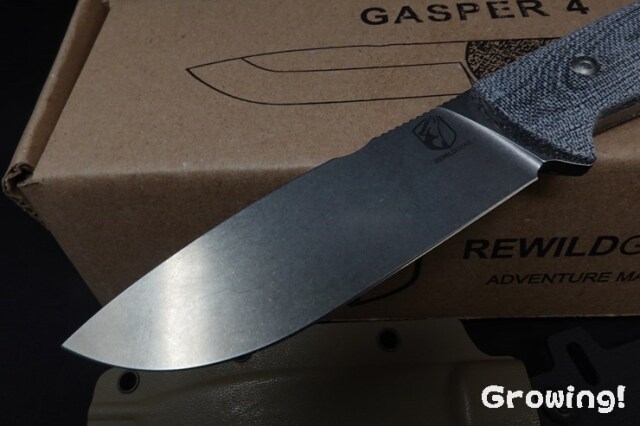 RWGG4GY-2.jpg
