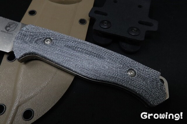 RWGG4GY-3.jpg