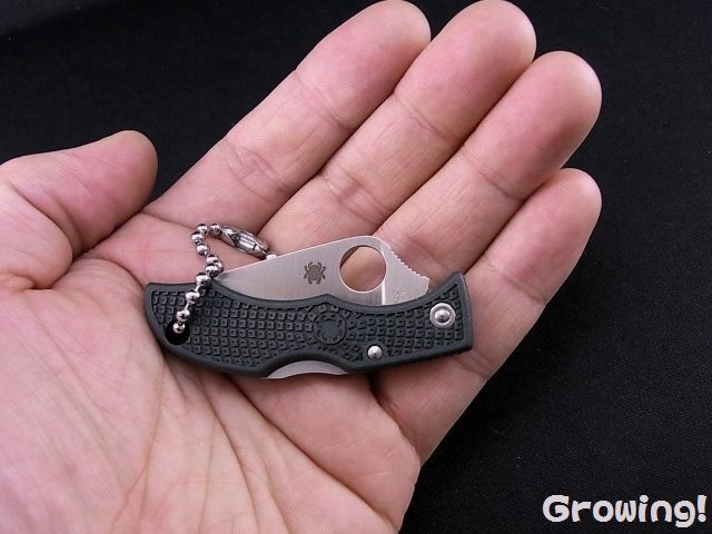 ナイフショップ グローイング！□Spyderco【スパイダルコ