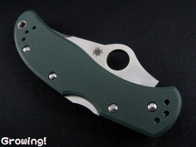 ナイフショップ グローイング！□Spyderco【スパイダルコ
