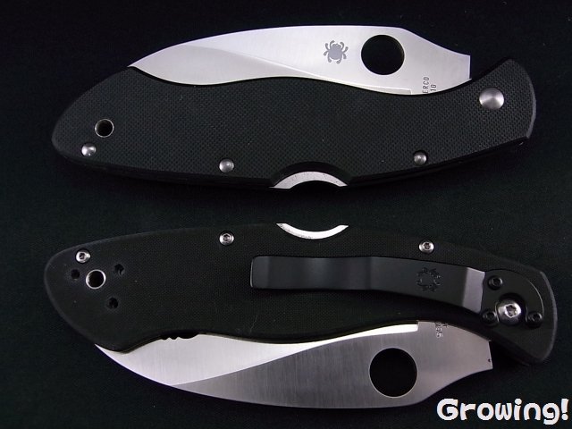 ナイフショップ グローイング！□Spyderco【スパイダルコ  