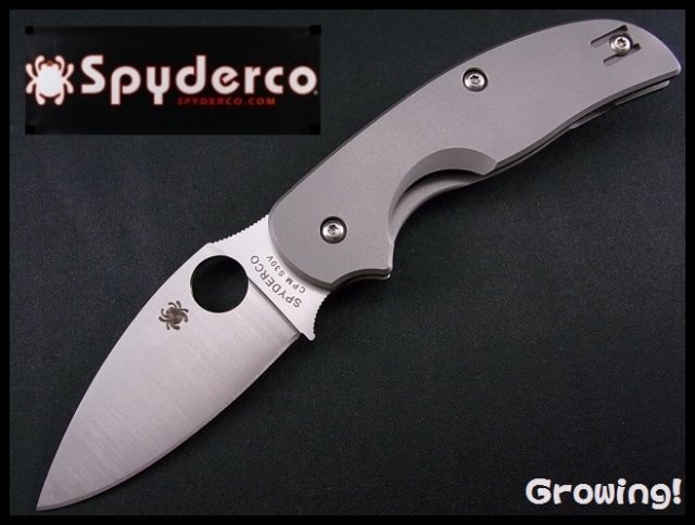 Greg　新品未開封　ごまくりあ2本　スヴェすべーだ2個新品、未使用 Amazon | Spyderco(スパイダルコ) ストレッチ2 ZDP-189 FRN 直刃