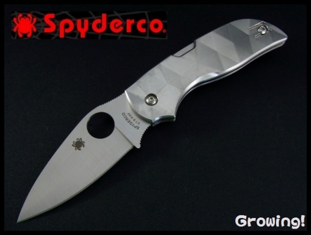 スパイダルコ　シェンプタフ ナイフショップ グローイング！□Spyderco【スパイダルコ