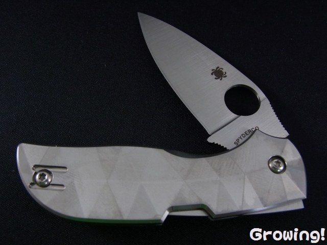 ナイフショップ グローイング！□Spyderco【スパイダルコ