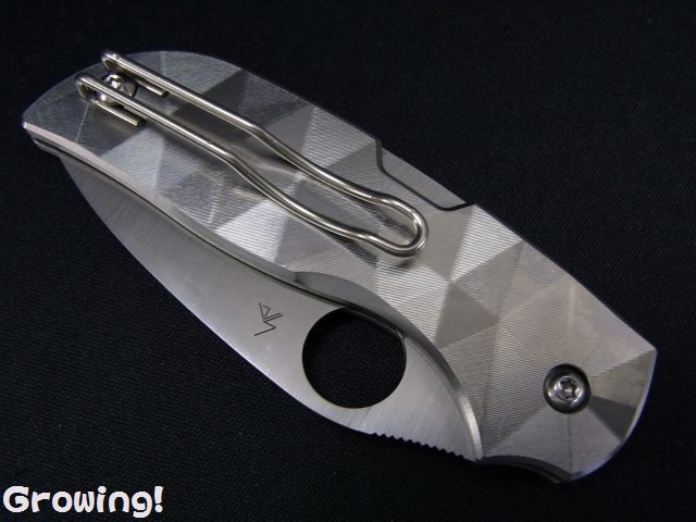 スパイダルコ　シェンプタフ ナイフショップ グローイング！□Spyderco【スパイダルコ