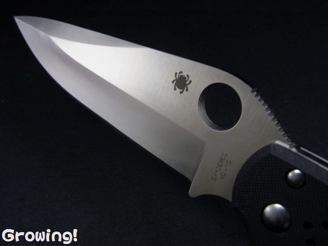 ナイフショップ グローイング！□Spyderco【スパイダルコ】□ タタンカ  