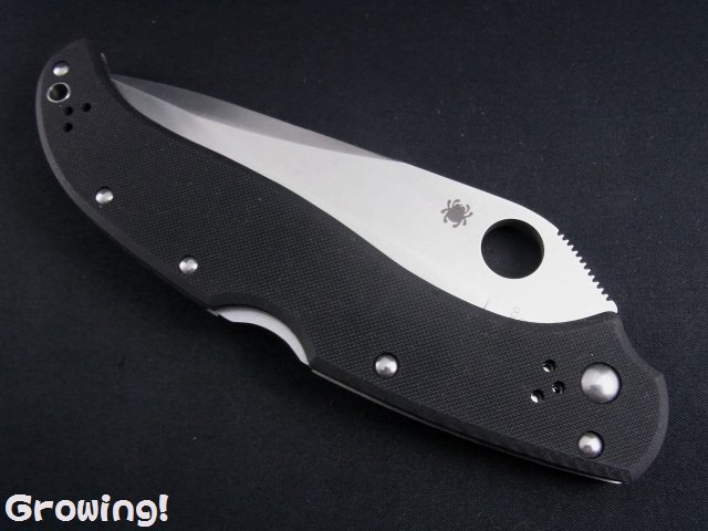 ナイフショップ グローイング！□Spyderco【スパイダルコ】□ タタンカ  