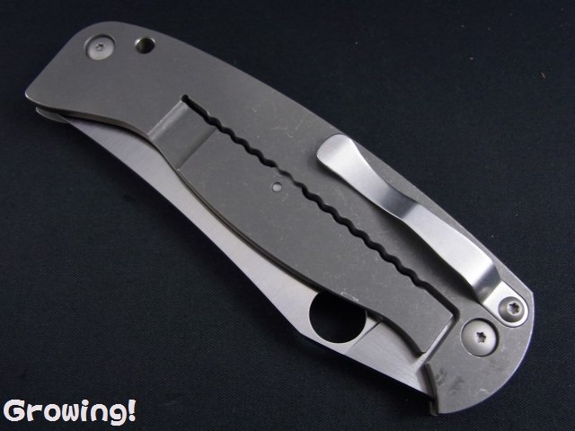 スパイダルコ　シェンプタフ ナイフショップ グローイング！□Spyderco【スパイダルコ