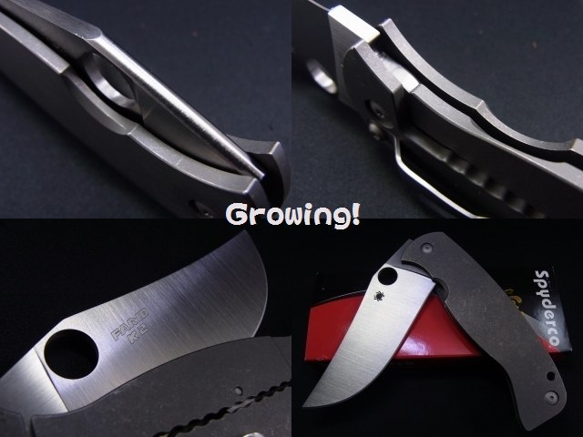ナイフショップ グローイング！□Spyderco【スパイダルコ