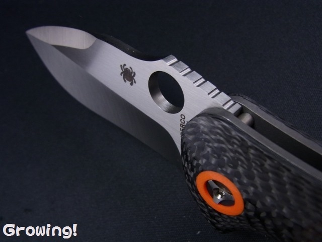 ナイフショップ グローイング！□Spyderco【スパイダルコ