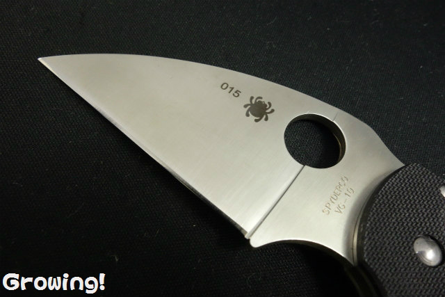 ナイフショップ グローイング！□Spyderco【スパイダルコ】□ Q