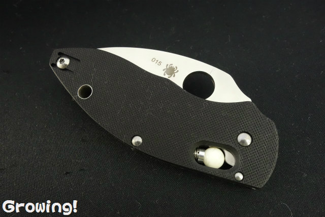 ナイフショップ グローイング！□Spyderco【スパイダルコ】□ Q