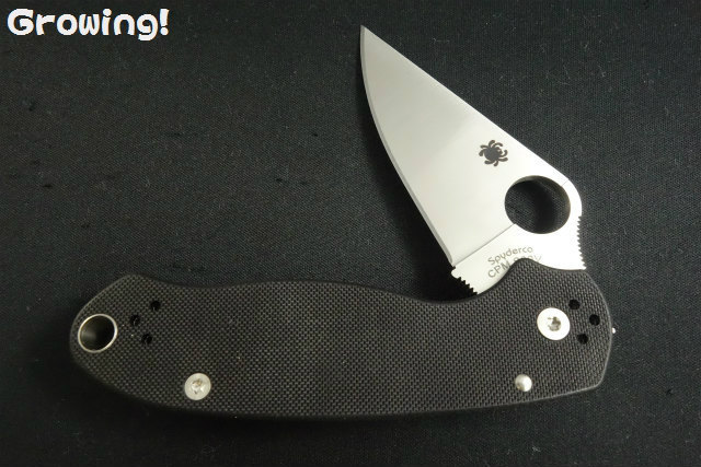 ナイフショップ グローイング！□Spyderco【スパイダルコ】□ パラ3  