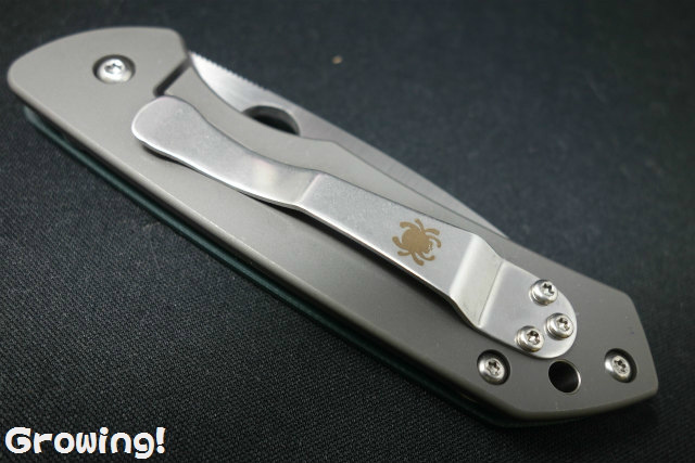 ナイフショップ グローイング！□Spyderco【スパイダルコ