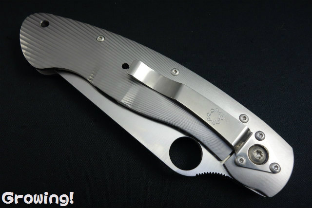 ナイフショップ グローイング!□Spyderco【スパイダルコ ナイフショップ グローイング!□Spyderco【スパイダルコ