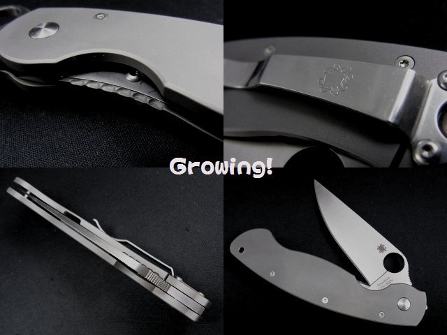 1円~ デッドストック級 スパイダルコ C36TIP 03 CPM-S30V ミリタリー チタン フォールディングナイフ IW501DKLP03SPY フラッシュライト等タクティカルグッズならネットDSIクラブ(大阪