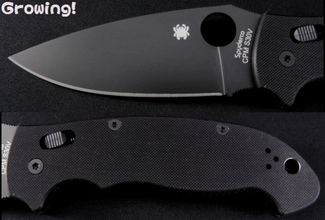 ナイフショップ グローイング！□Spyderco【スパイダルコ