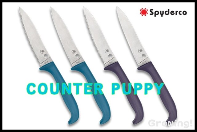 最終値下げセラミックスピードOSPW coated カンパニョーロ用