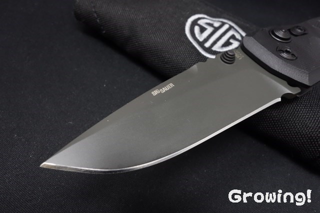 ナイフショップ グローイング！□HOGUE【ホーグ】□ 「EX-01」 SIG