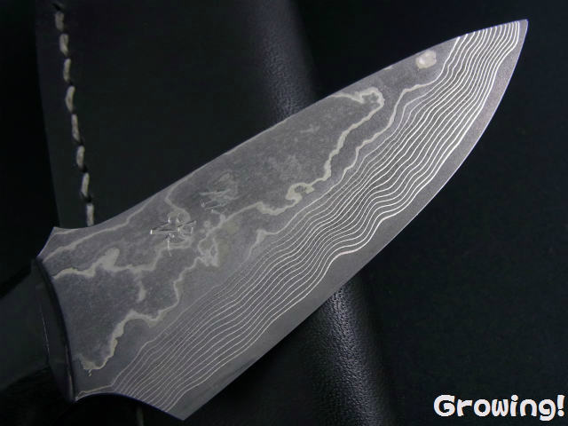 ナイフショップ グローイング！□佐治武士【さじ たけし】□ 蝙蝠