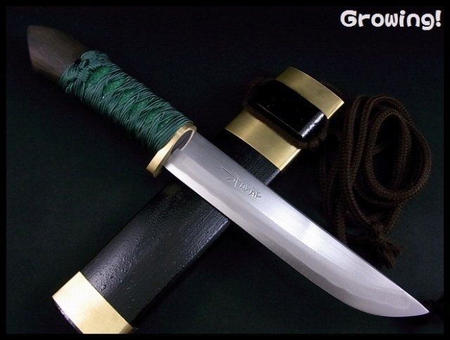 伝統工芸士 佐治武士 ナイフ【家康】青紙スーパー鋼、新品未使用 ナイフショップ グローイング！□佐治武士【さじ たけし