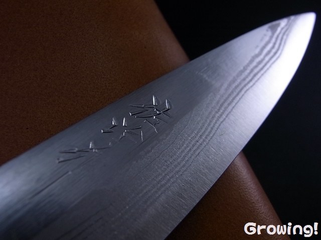 佐治武士 ナイフ 一角青紙スーパー ナイフショップ グローイング！□佐治武士【さじ たけし】□ 一角 【青