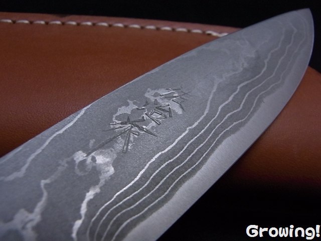 佐治武士 こいのぼり 青紙スーパー ナイフ 佐治打刃物 Saji Knives