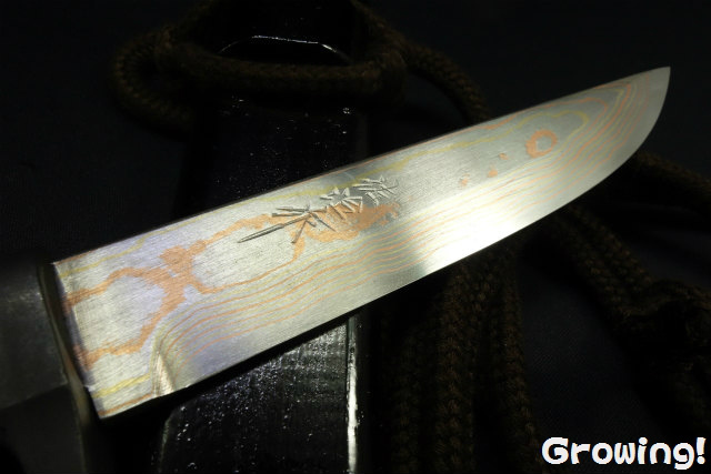 ナイフショップ グローイング！□佐治武士【さじ たけし】□ 忍者