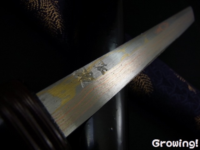 佐治武士作 有色ダマスカス 切り出し 小刀 和式ナイフ 切出 切り出し ナイフショップ グローイング！□佐治武士【さじ たけし】□ 和風小刀