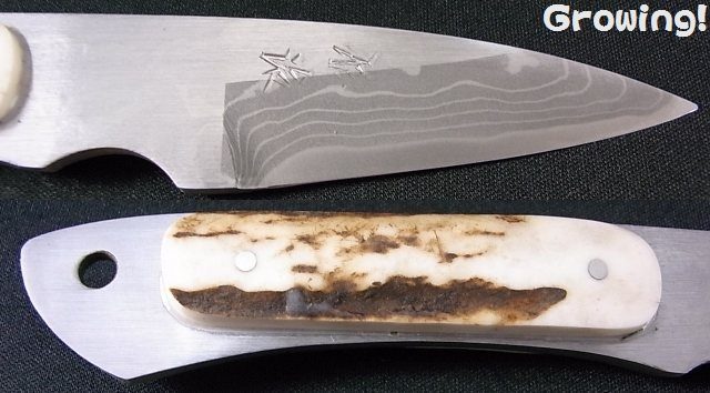 ナイフショップ グローイング！□佐治武士【さじ たけし】□ 共柄 鹿角