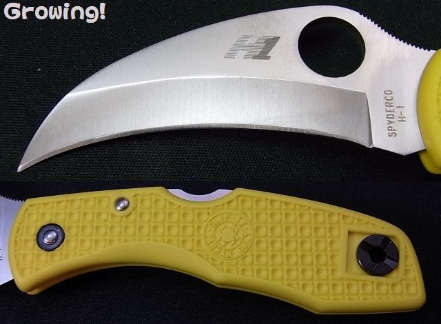 ナイフショップ グローイング！□Spyderco【スパイダルコ】□ タスマン