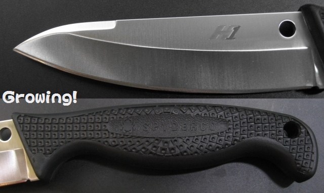 ナイフショップ グローイング！□Spyderco【スパイダルコ】□ アクア