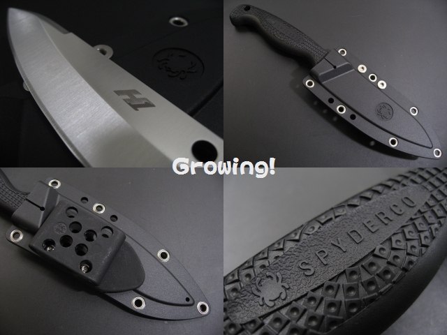 ナイフショップ グローイング！□Spyderco【スパイダルコ】□ アクア