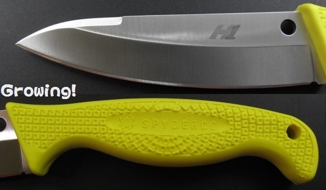 極美品　アクア・スナイパー ナイフショップ グローイング！□Spyderco【スパイダルコ】□ アクア