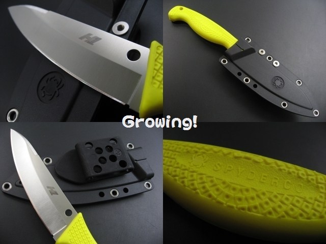 ナイフショップ グローイング！□Spyderco【スパイダルコ】□ アクア