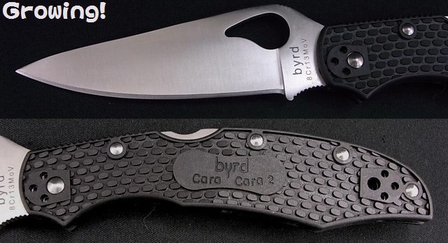 ナイフショップ グローイング Spyderco スパイダルコ Byrd カラカラ2 8cr13mov Frn Cara Cara 2