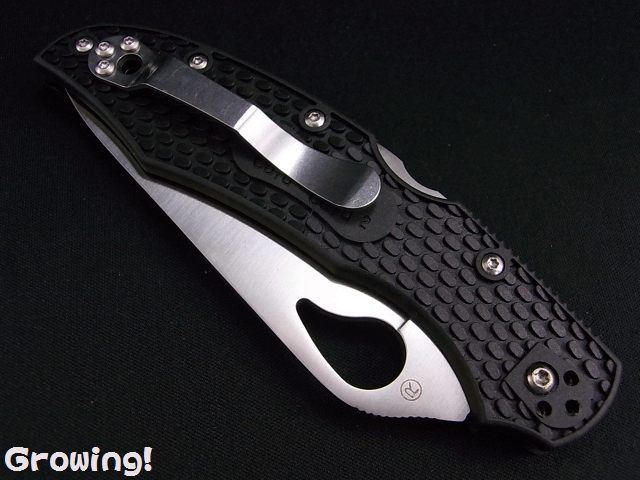 ナイフショップ グローイング Spyderco スパイダルコ Byrd カラカラ2 8cr13mov Frn Cara Cara 2