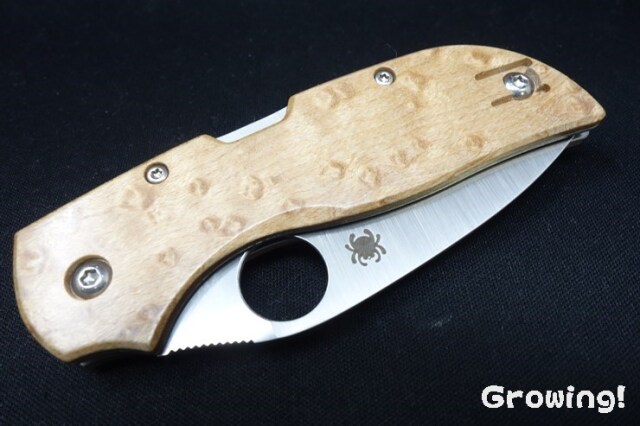 ナイフショップ グローイング！□Spyderco【スパイダルコ