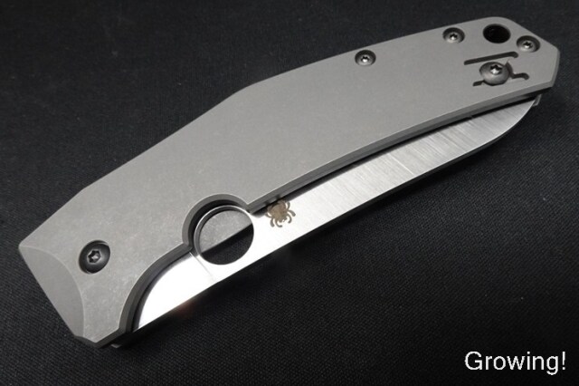 ナイフショップ グローイング！□Spyderco【スパイダルコ  