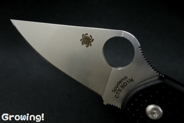 ナイフショップ グローイング！□Spyderco【スパイダルコ